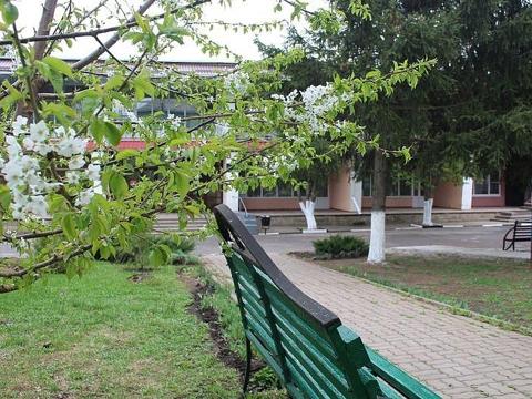 изображение для фотоальбома 30