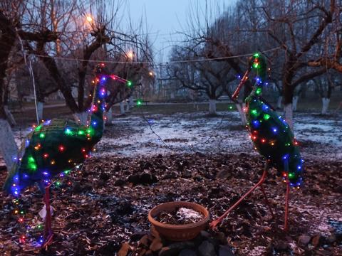 Изображение слайдера 8