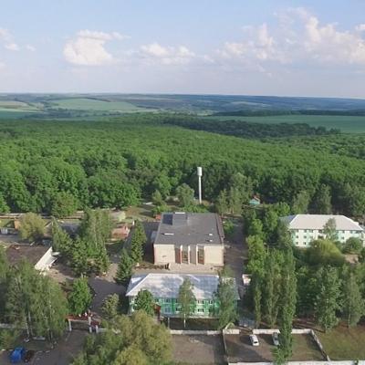 Дубравушка