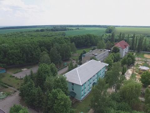 Дубравушка фото 2